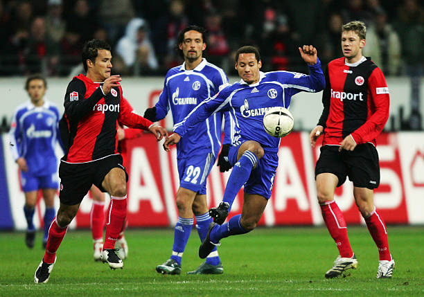 采取必要的 采取必要的